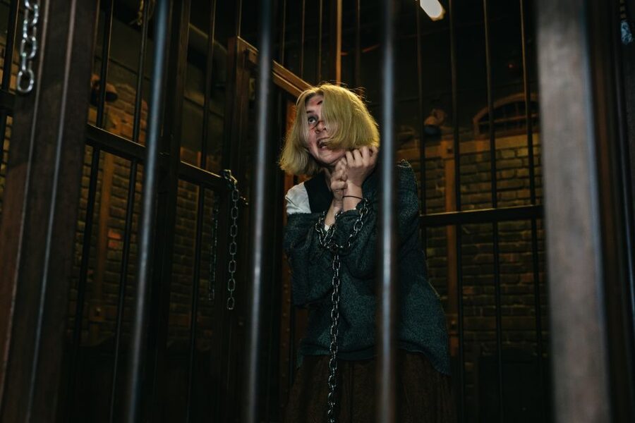 Hamburg: Hamburg Dungeon Admission Ticket - Ghosts, sudden scares, and audience interaction