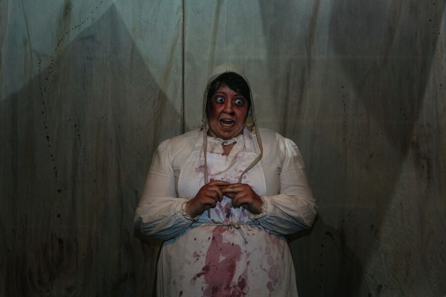 Hamburg: Hamburg Dungeon Admission Ticket - The Elevator of Doom and free-fall finale