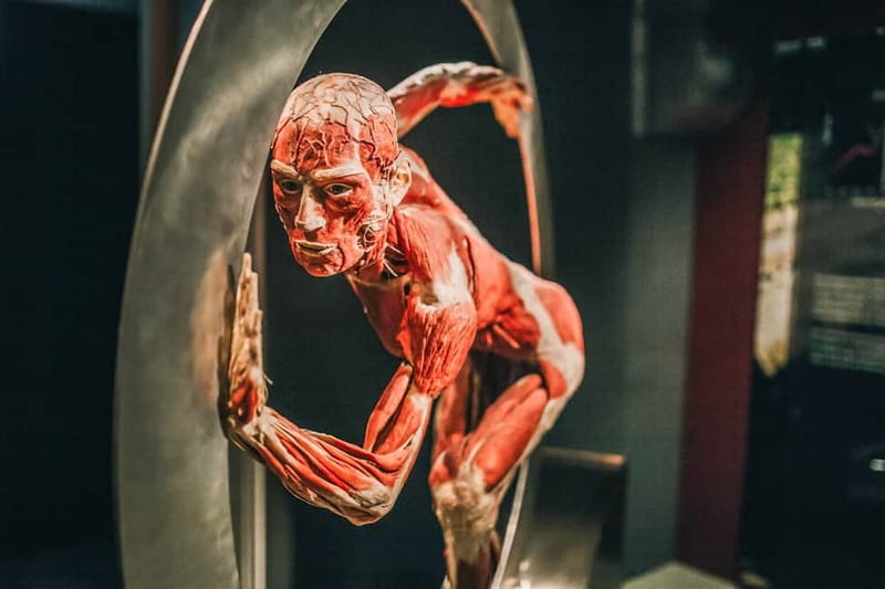 Heidelberg: BODY WORLDS Museum Entry Ticket - Seeing the human body at Altes Hallenbad