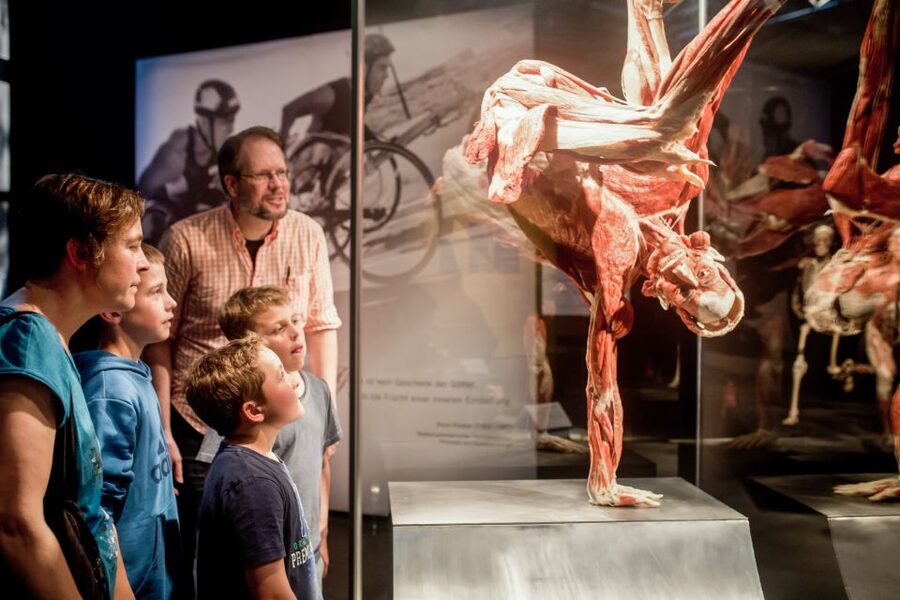 Heidelberg: BODY WORLDS Museum Entry Ticket - How long to stay and how to plan the day