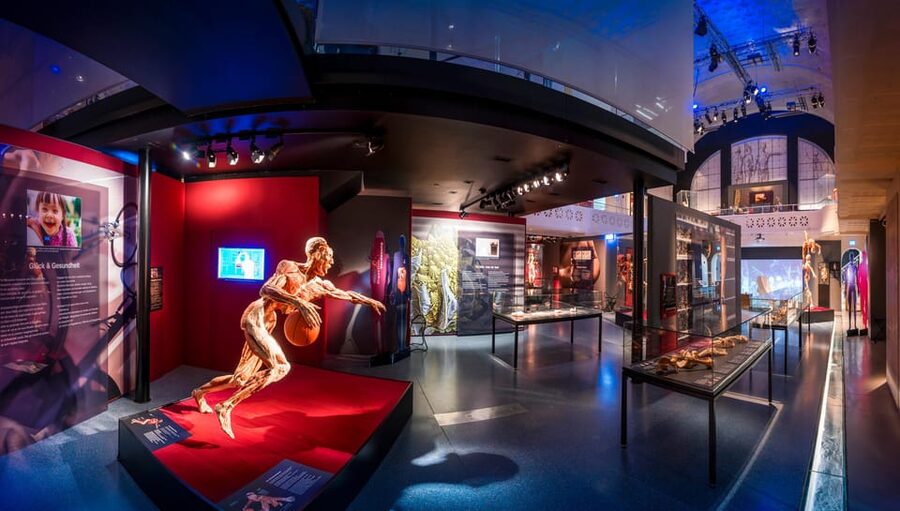 Heidelberg: BODY WORLDS Museum Entry Ticket - My recommendation for booking