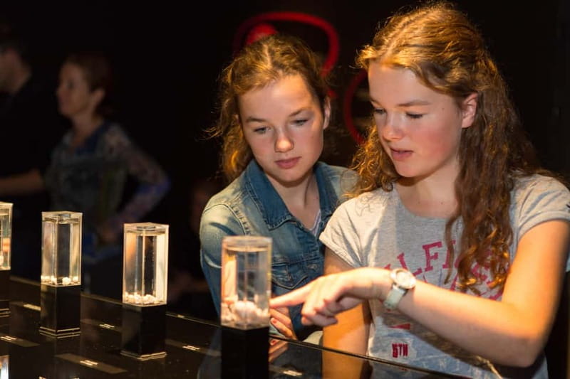 Heidelberg: BODY WORLDS Museum Entry Ticket - How plastination changes the museum experience