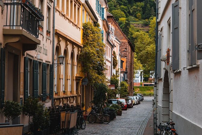 Heidelberg Castle and City Day Tour from Frankfurt - Two hours in Heidelberg’s old town