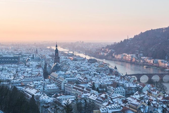 Heidelberg Castle and Old Town Tour from Frankfurt - Who should book this Heidelberg tour?