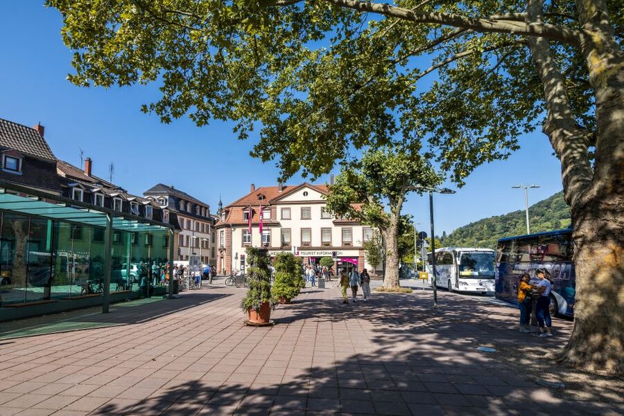 Heidelberg: Sightseeing Bus and Castle Tour - A smart way to see Heidelberg in two hours