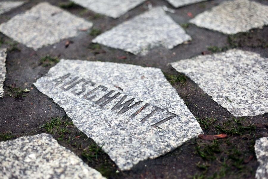 Hitler’s Germany: Berlin During the Third Reich & WWII - Gestapo, SS, and the Topography of Terror area