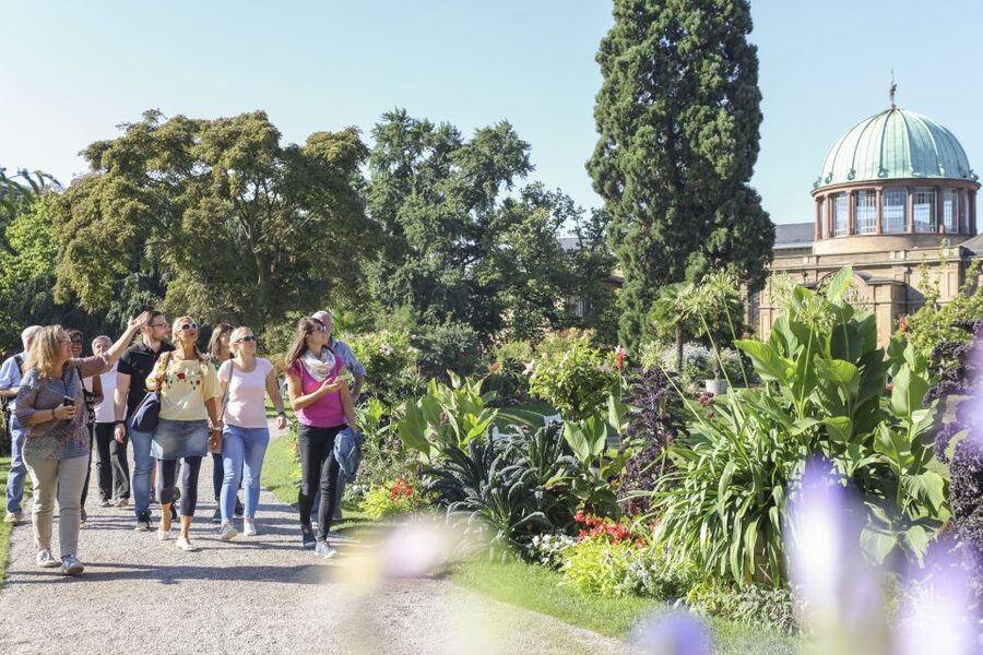 Karlsruhe: Guided City History & Culture Walking Tour - Key points to know before you book