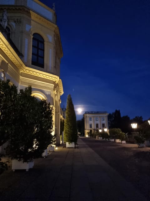 Kassel: Kassel's lost city by night - Practical advice before you reserve