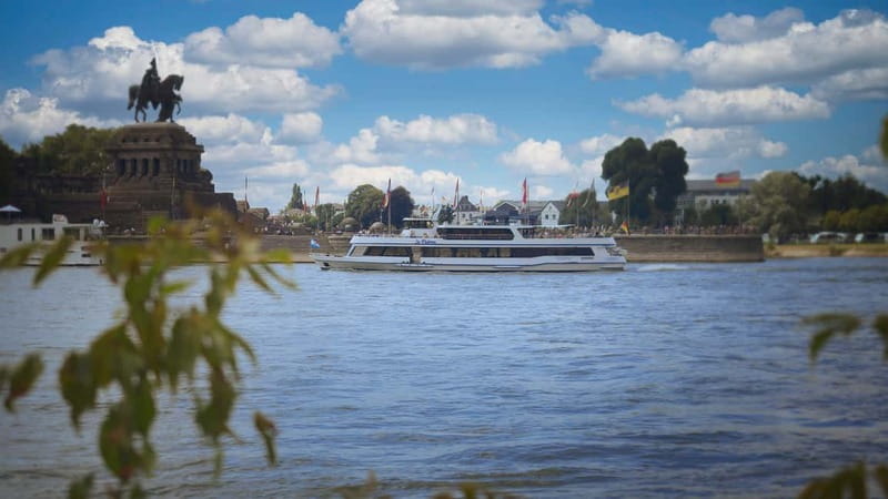 Koblenz: 2-Hour Sightseeing Cruise on the Rhine - The castles you can actually identify from the boat