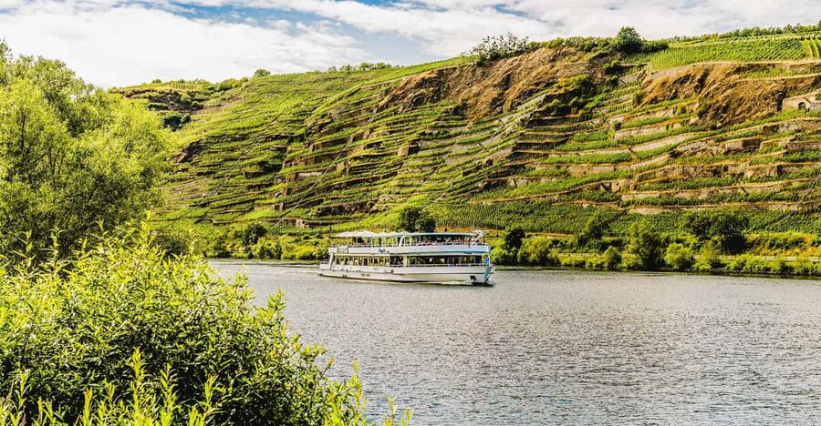 Koblenz: Panoramic Cruise on Moselle River to Winningen - Güls vineyards and the first slopes of the Lower Moselle