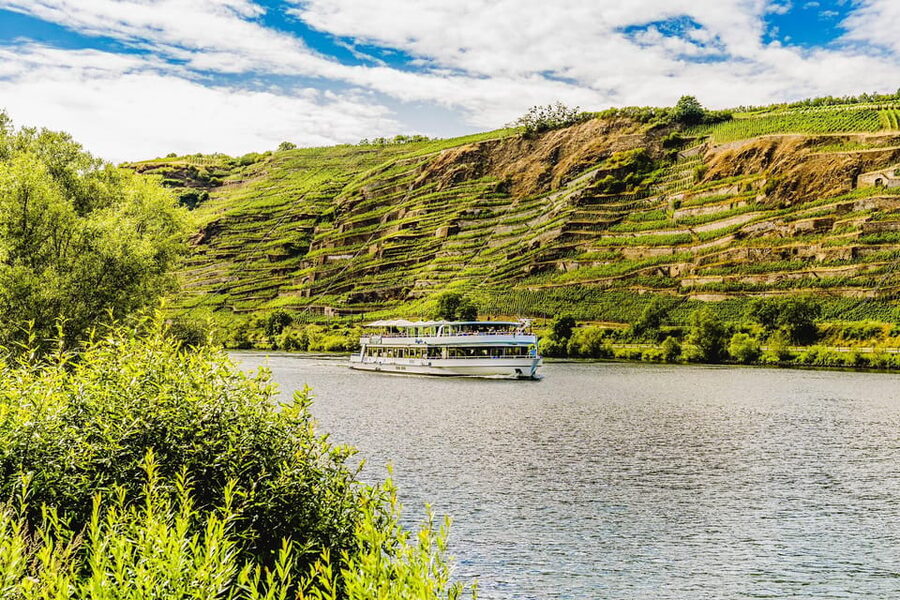 Koblenz: Panoramic Cruise on Moselle River to Winningen - Who will enjoy this Moselle cruise most