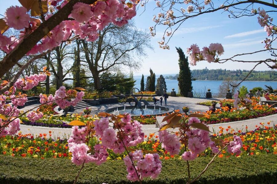 Konstanz: Mainau Island Entry Ticket - Family time beyond the flower beds