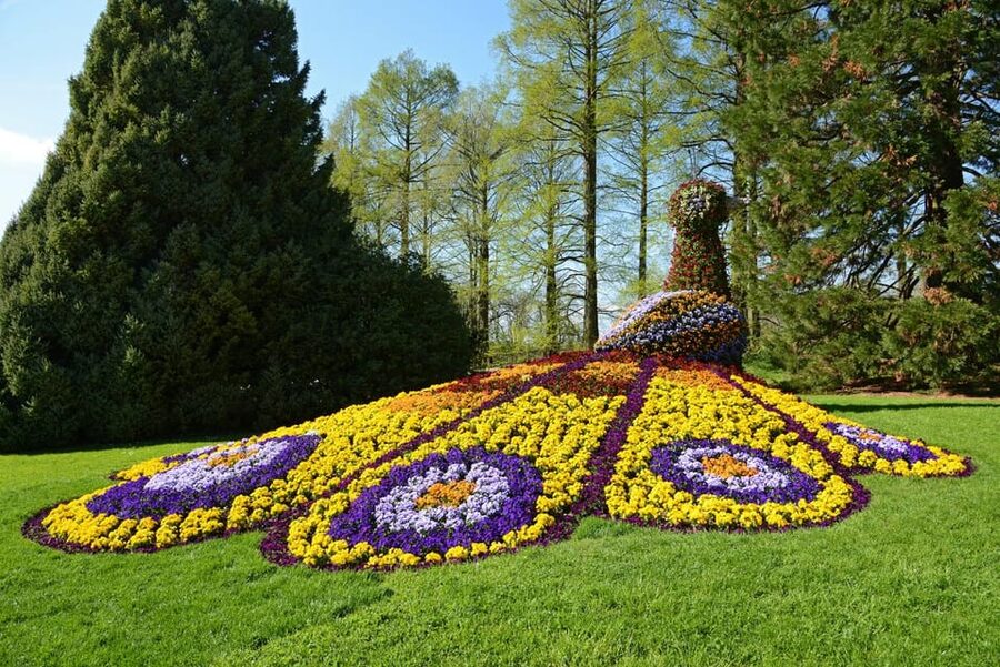 Konstanz: Mainau Island Entry Ticket - Practical booking points that matter