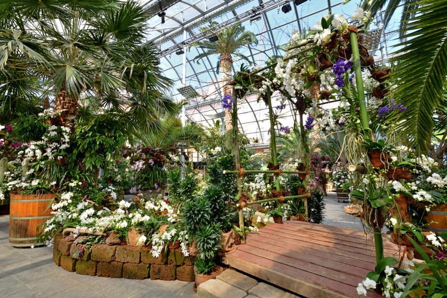 Konstanz: Mainau Island Entry Ticket - Who will get the most from Mainau?