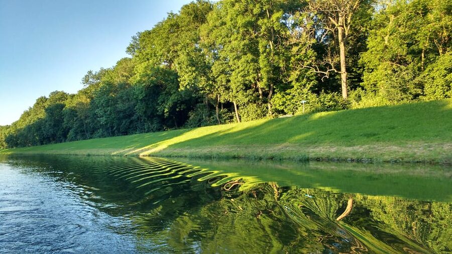 Leipzig: 2-hour Auwald Motorboat Tour - Key things to know