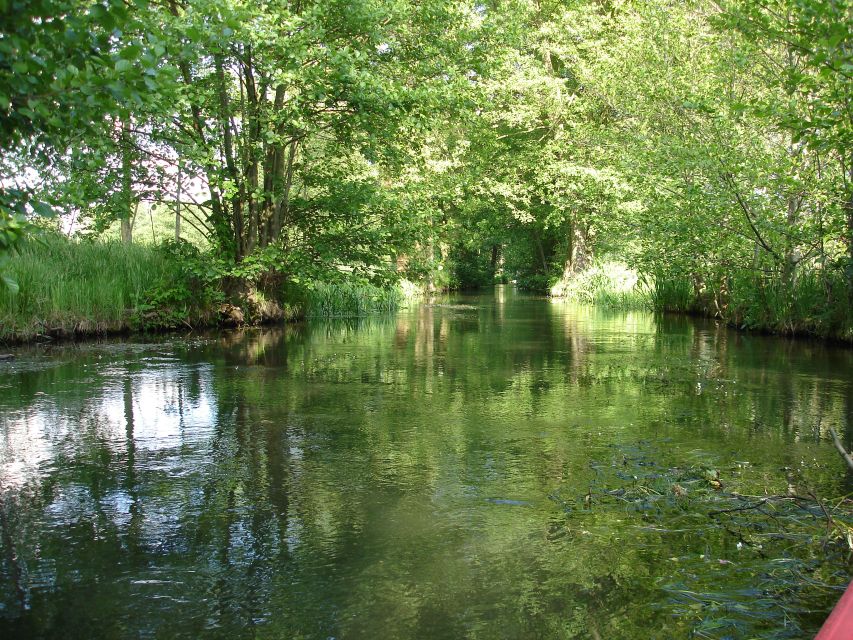 Leipzig: Riverside Forest Tour on the Pleiße - Ancient oaks, shade, and a cooler river climate