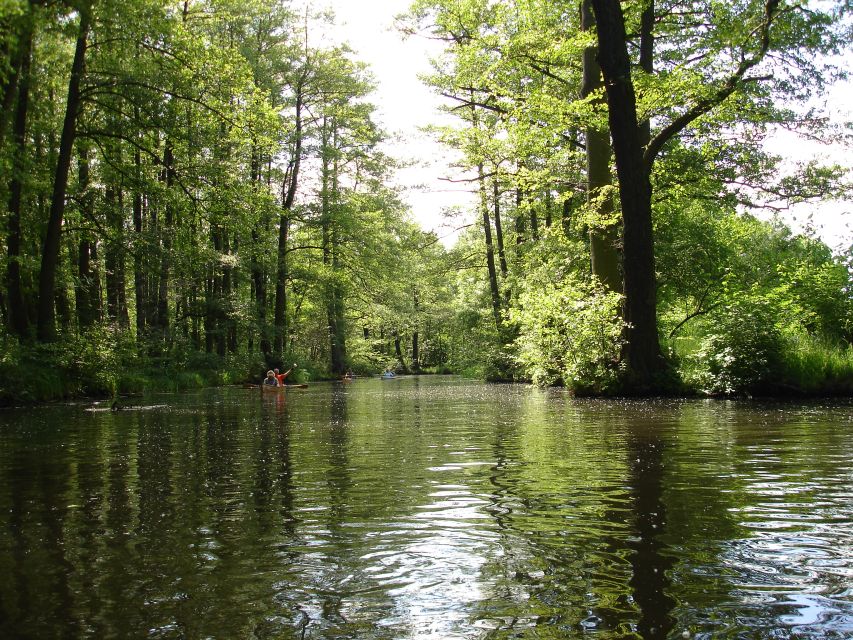 Leipzig: Riverside Forest Tour on the Pleiße - Is $18 a fair price?