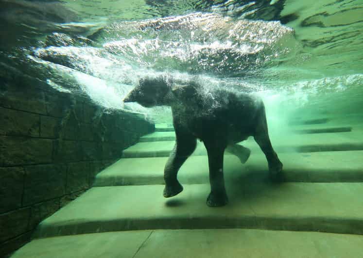 Leipzig Zoo: Entry Ticket - Why Leipzig Zoo feels different from a standard zoo