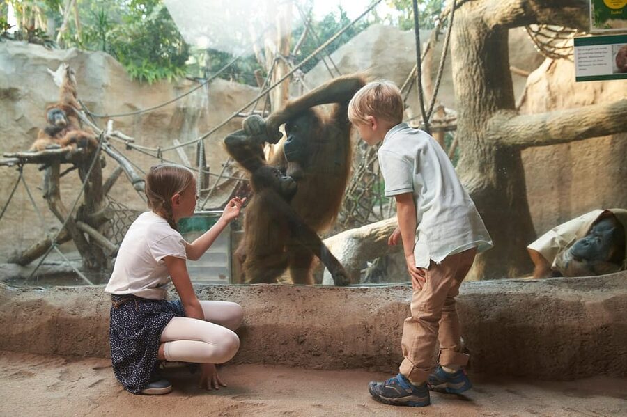 Leipzig Zoo: Entry Ticket - Pongoland puts four great apes in one place