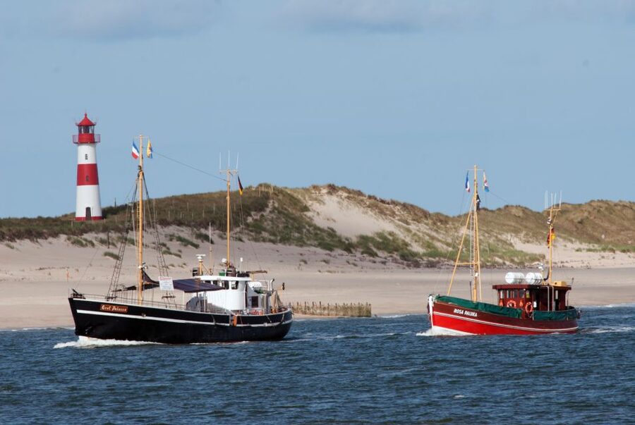 List/Sylt: Guided Seal-Watching Cruise on a Rustic Boat - Why the low-tide timing matters