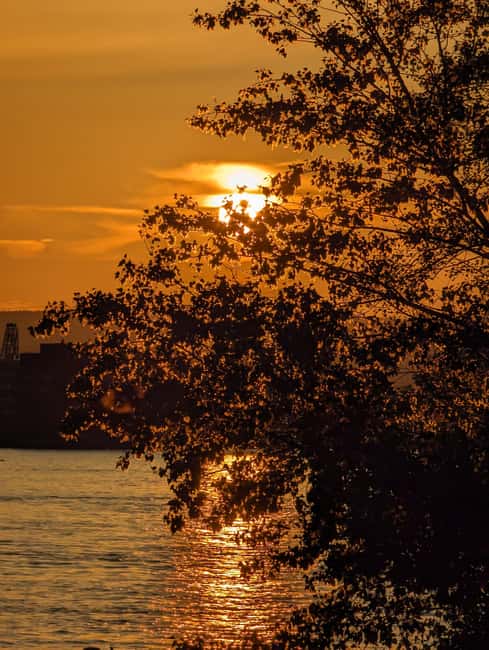 Mainz: guided evening tour of the Rhine embankment/old town in German and English - Key points to know before you book