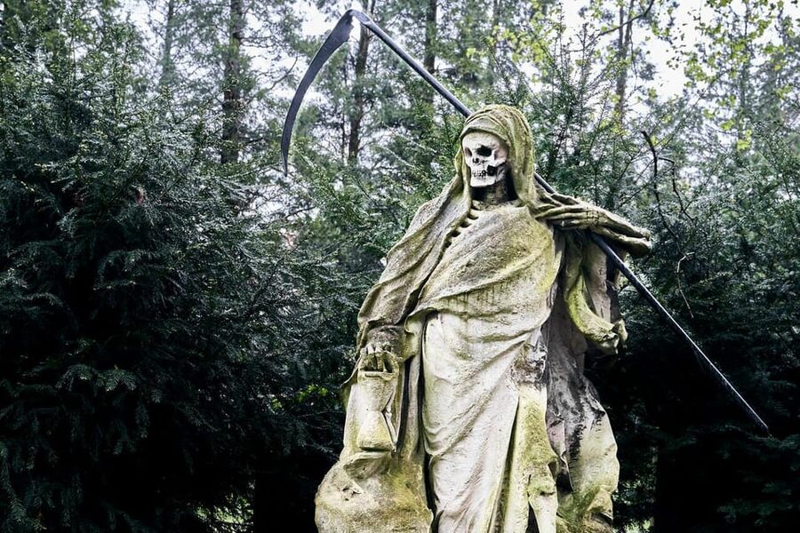 Melaten Friedhof: Guided tour with all senses - The Millionenenallee and Cologne’s famous names