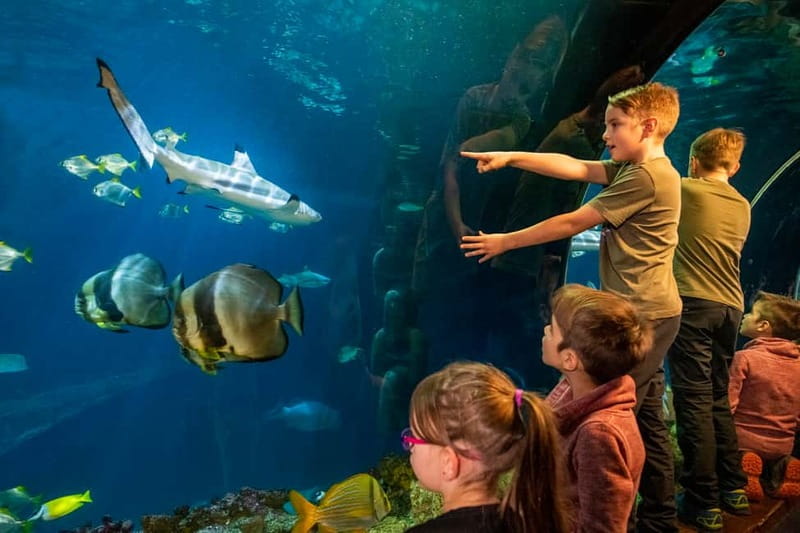 Munich: Day Ticket to Sea Life - Key Things To Know