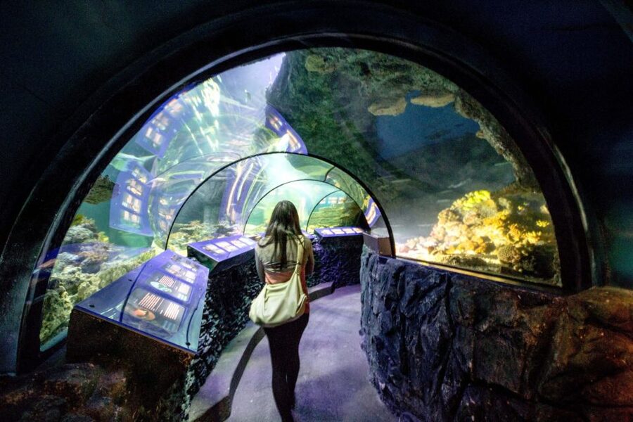 Munich: Day Ticket to Sea Life - Cancellation and Booking Flexibility