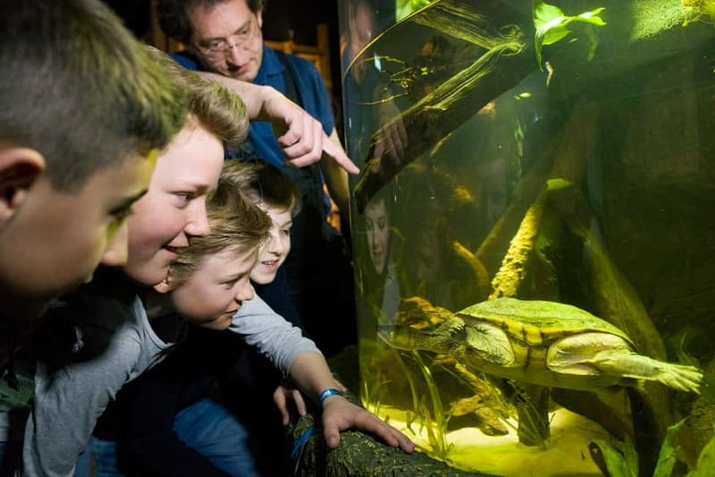 Munich: Day Ticket to Sea Life - The Animal Crossing Event From May 12 to June 29