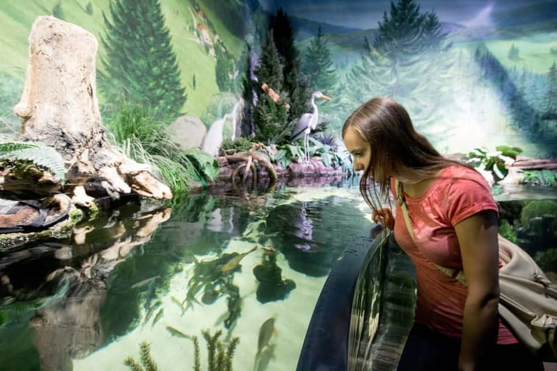 Munich: Day Ticket to Sea Life - Feeding Sessions Add Some Movement