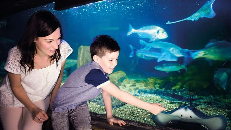 Munich: Day Ticket to Sea Life - Tropical Island Creatures Beyond Fish