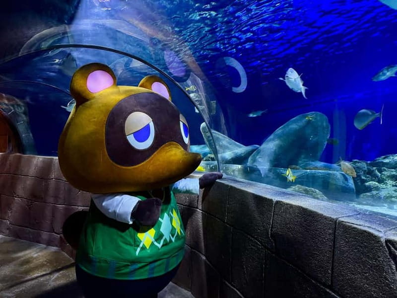 Munich: Day Ticket to Sea Life - From the Isar River to the Atlantic