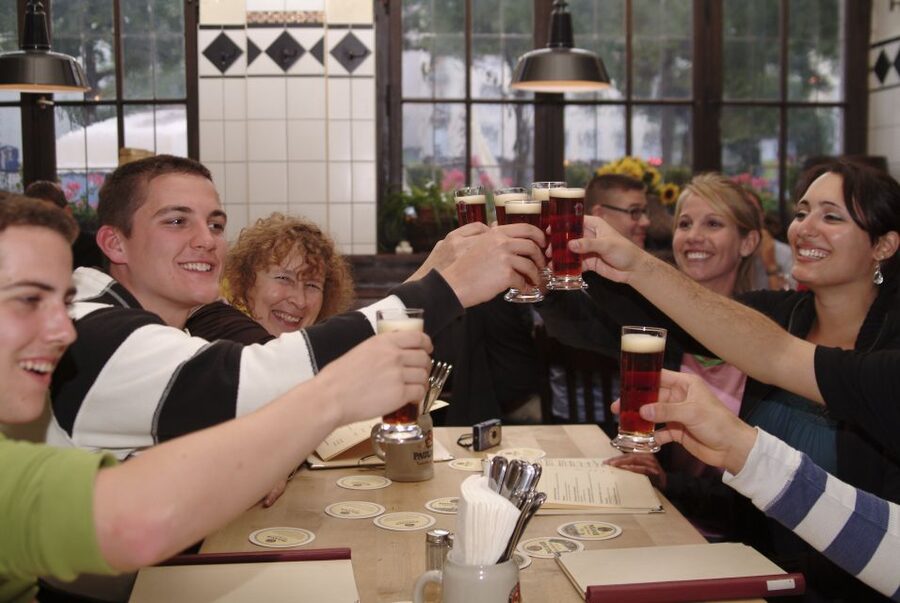 Munich's Beer Halls and Breweries: 3-Hour Guided Tour - Who should book this Munich beer tour?