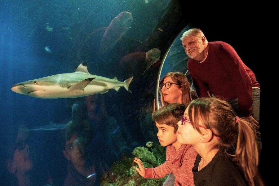 Oberhausen: LEGOLAND Discovery Centre and SEA LIFE Ticket - The short walk to SEA LIFE Oberhausen