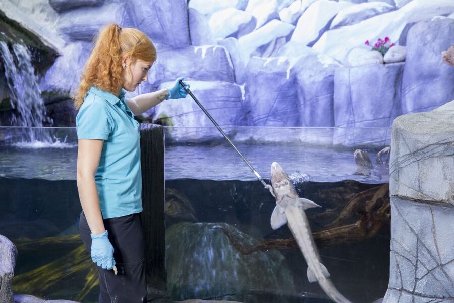 Oberhausen: LEGOLAND Discovery Centre and SEA LIFE Ticket - From the Rhine to the Amazon