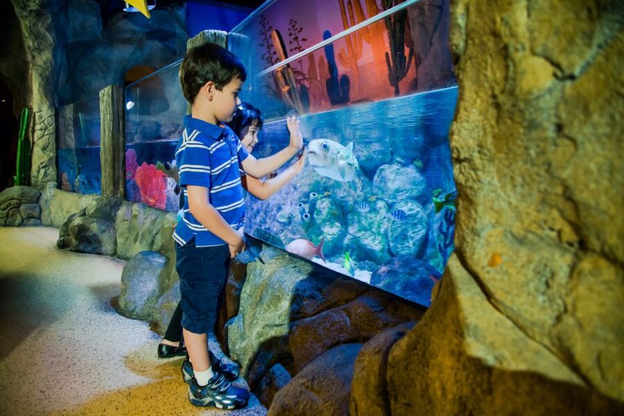 Oberhausen: LEGOLAND Discovery Centre and SEA LIFE Ticket - Starting at LEGOLAND Discovery Centre