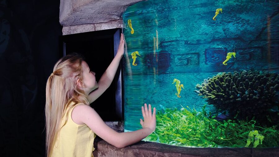 Oberhausen: SEA LIFE Oberhausen Entry Ticket - Who will enjoy SEA LIFE Oberhausen most?