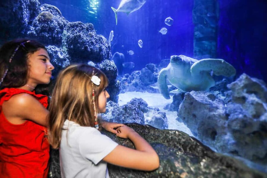 Oberhausen: SEA LIFE Oberhausen Entry Ticket - Daily feedings add movement and useful facts