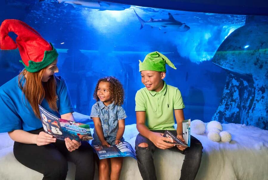 Oberhausen: SEA LIFE Oberhausen Entry Ticket - Is $25 good value?