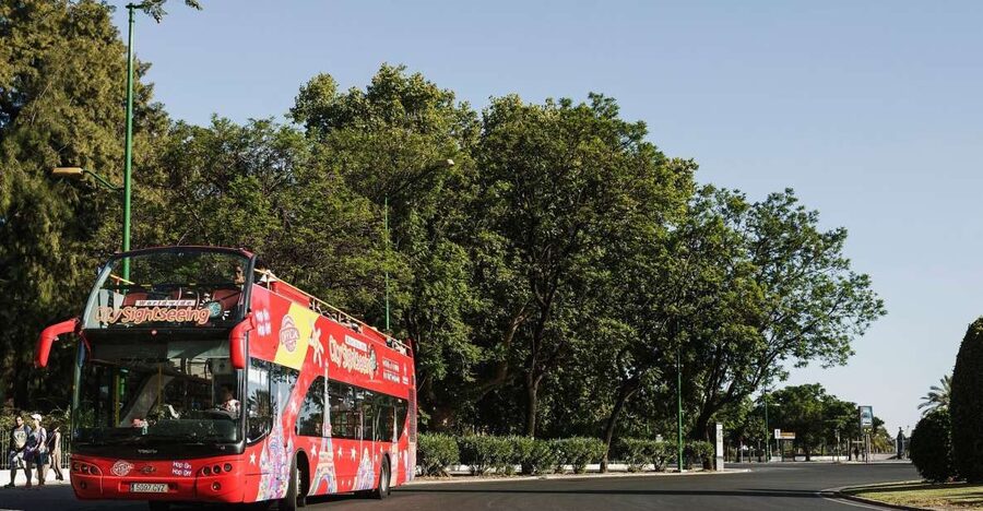 Potsdam: City Sightseeing Hop-On Hop-Off Bus Tour - Why this bus makes sense in Potsdam