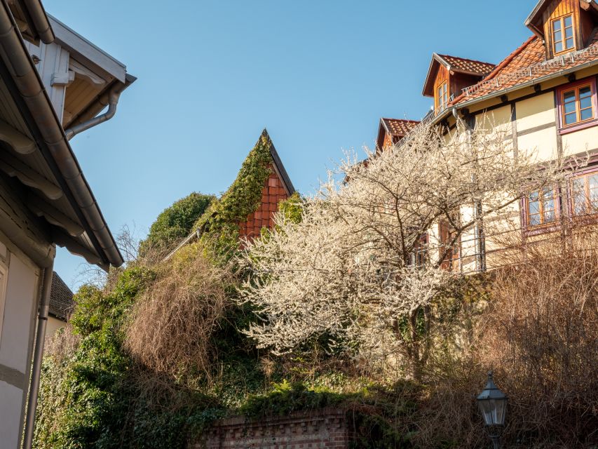 Quedlinburg: Guided City Highlights Walking Tour - Key points before you book