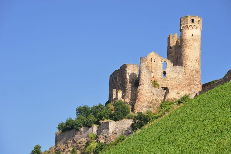 Rhine Valley Castles: 1.5-Hour Boat Tour from Rüdesheim - Bingen, the Nahe River, and Klopp Castle