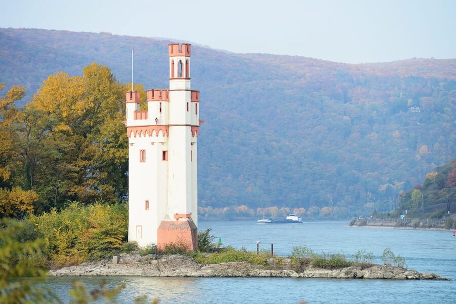 Rhine Valley Castles: 1.5-Hour Boat Tour from Rüdesheim - Assmannhausen vineyards and Rüdesheim’s famous lanes