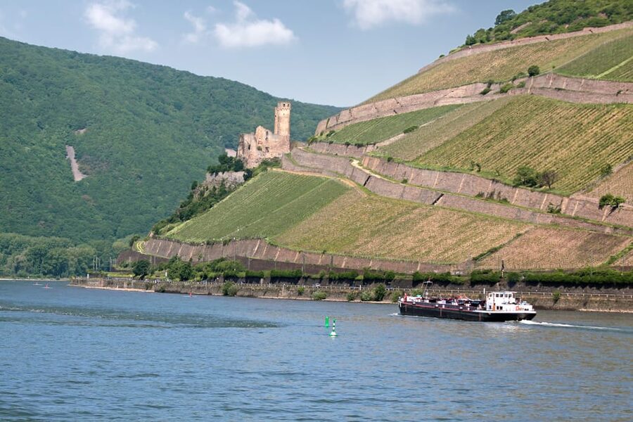 Rhine Valley Castles: 1.5-Hour Boat Tour from Rüdesheim - Food, drinks, and the cash-only warning
