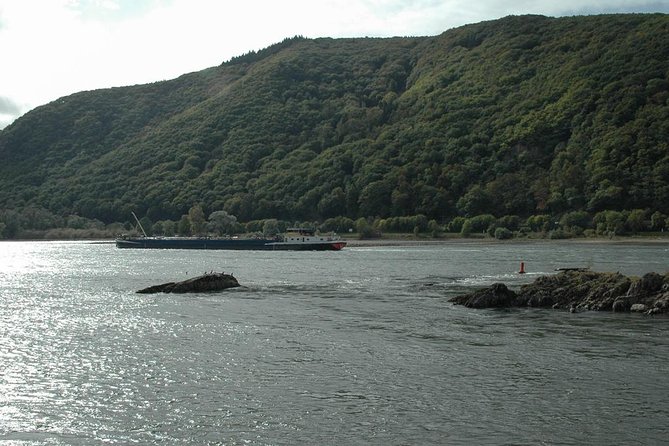 Rhine Valley Trip from Frankfurt including Rhine River Cruise - The full-day option and the Niederwald Monument
