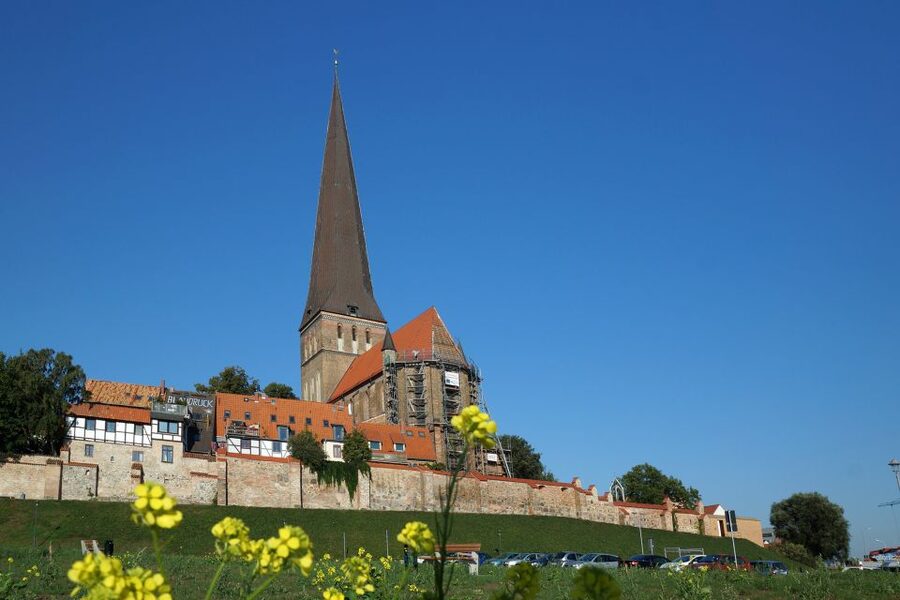 Rostock: City Walking Tour - Starting beneath Rostock’s griffin