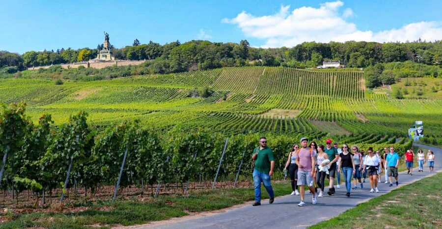 Rüdesheim - Guided wine hikes with 4wines and cable car ride - Who will enjoy this vineyard walk most