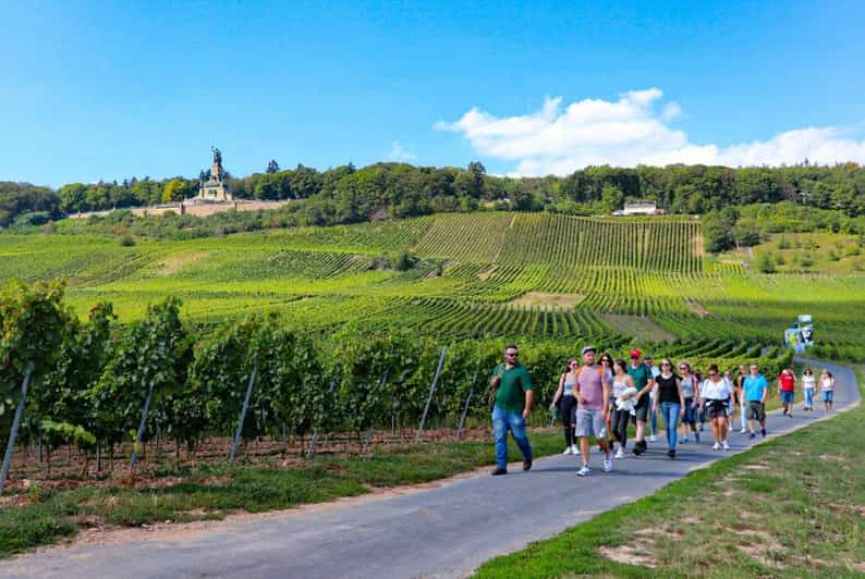 Rüdesheim - Guided wine hikes with 4wines and cable car ride - Two tastings along the vineyard route
