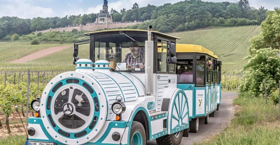 Rüdesheim sightseeing tour with the Winzerexpress - Views toward the Niederwald Monument and St. Hildegard Abbey