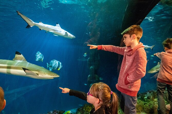 SEA LIFE Hannover Ticket - The Tropical Rainforest changes the pace